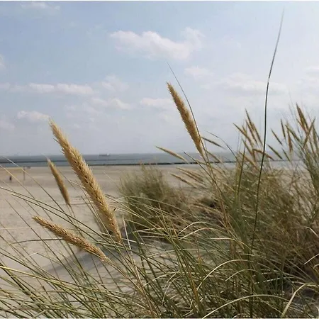 Vakantiehuis Patricia Comfortable Vacation *